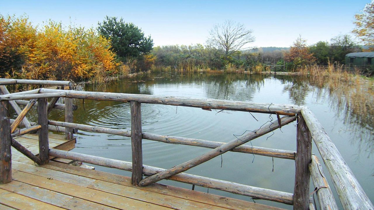 AreaSummer1KM AreaSummer1KM